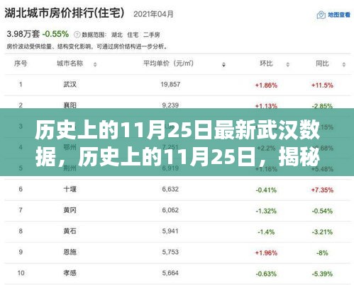 揭秘武汉最新数据报告，历史上的11月25日数据解析