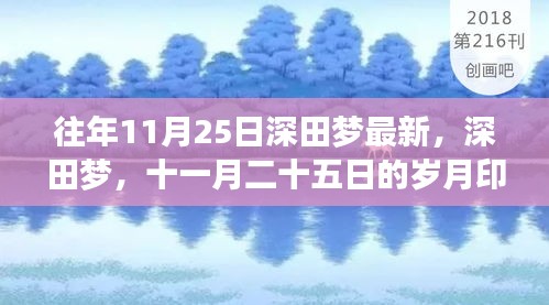 深田梦十一月印记，岁月留声，回忆往年今日风采