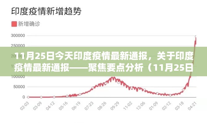 印度疫情最新通报，聚焦要点分析（11月25日报道）