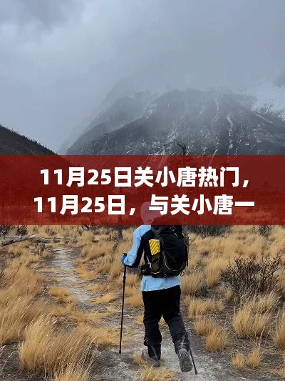 关小唐带你探索自然美景，寻找心灵宁静之旅，11月25日热门活动纪实