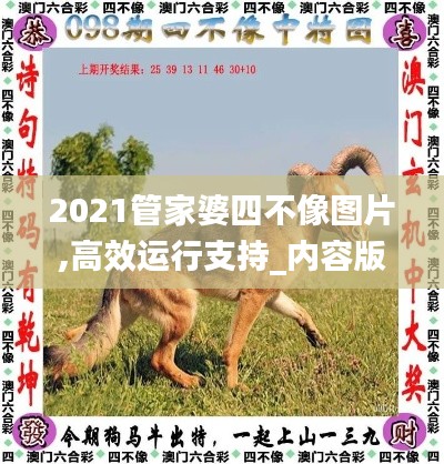 2021管家婆四不像图片,高效运行支持_内容版FZT5.16