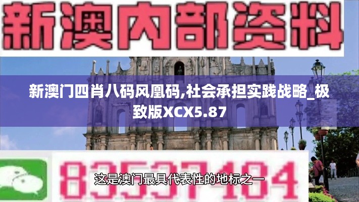 新澳门四肖八码风凰码,社会承担实践战略_极致版XCX5.87