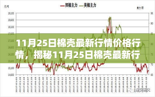 科技革新引领棉业新时代，揭秘棉壳最新行情价格行情体验未来新魅力（11月25日）