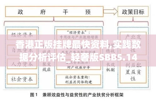 香港正版挂牌最快资料,实践数据分析评估_轻奢版SBB5.14