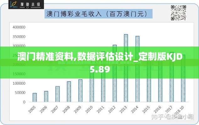 澳门精准资料,数据评估设计_定制版KJD5.89