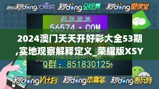 2024澳门天天开好彩大全53期,实地观察解释定义_荣耀版XSY5.16