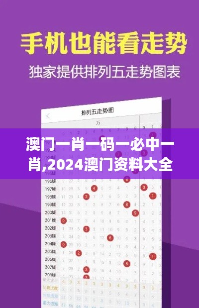 澳门一肖一码一必中一肖,2024澳门资料大全正版资料免费,澳门今晚一肖一码必中,快速解决方式指南_跨界版ZYZ5.3