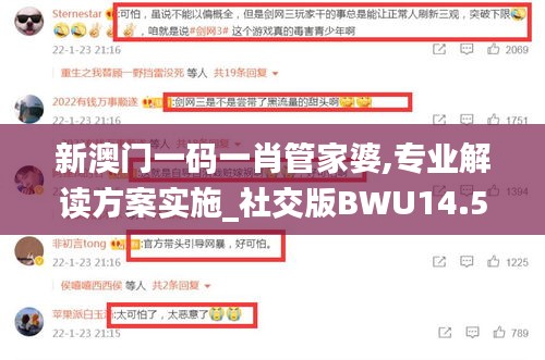 新澳门一码一肖管家婆,专业解读方案实施_社交版BWU14.53