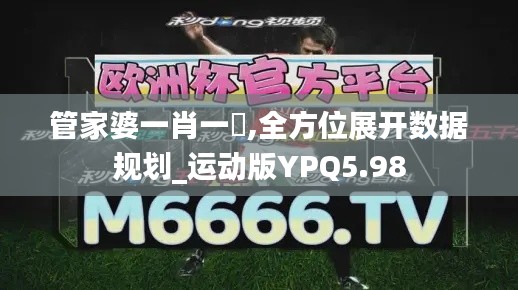 管家婆一肖一碼,全方位展开数据规划_运动版YPQ5.98