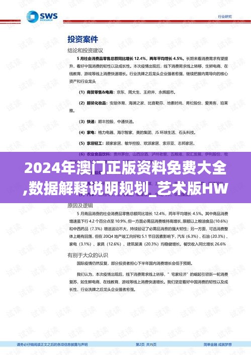 2024年澳门正版资料免费大全,数据解释说明规划_艺术版HWY5.29