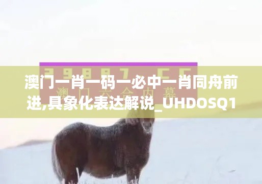 澳门一肖一码一必中一肖同舟前进,具象化表达解说_UHDOSQ14.18