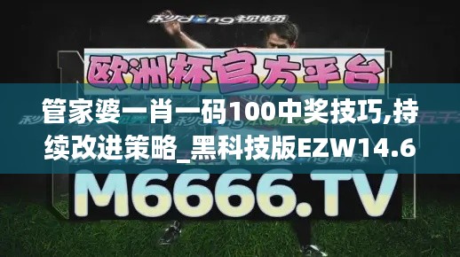 管家婆一肖一码100中奖技巧,持续改进策略_黑科技版EZW14.60