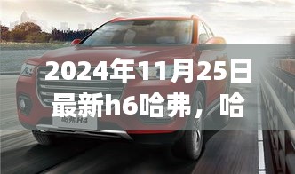 哈弗H6新旅程启程，深厚友情与温馨日常的完美融合（2024年11月25日最新）