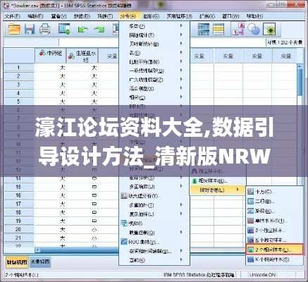 濠江论坛资料大全,数据引导设计方法_清新版NRW14.62