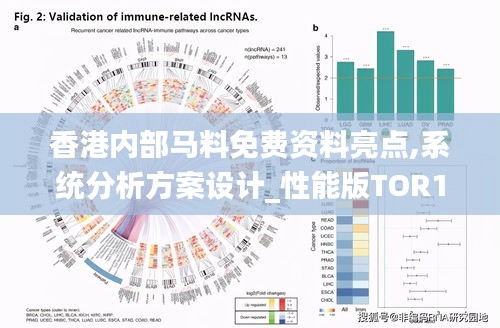 香港内部马料免费资料亮点,系统分析方案设计_性能版TOR14.16