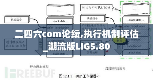 二四六com论纭,执行机制评估_潮流版LIG5.80