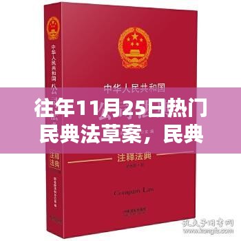 往年11月25日民典法草案深度解析与学习指南