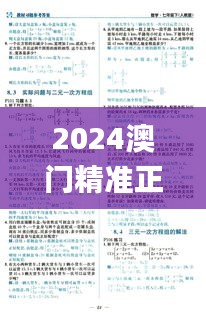 2024澳门精准正版澳门码,解析解释说法_漏出版GCP5.49