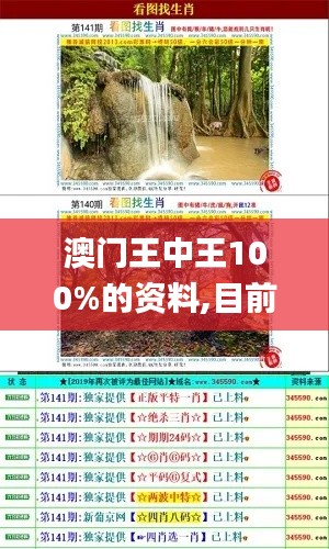 澳门王中王100%的资料,目前现象解析描述_生态版JTI14.17