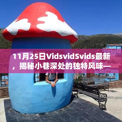 探访隐藏版宝藏小店VidsvidSvids，小巷深处的独特风味揭秘