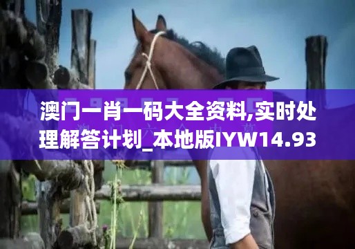 澳门一肖一码大全资料,实时处理解答计划_本地版IYW14.93