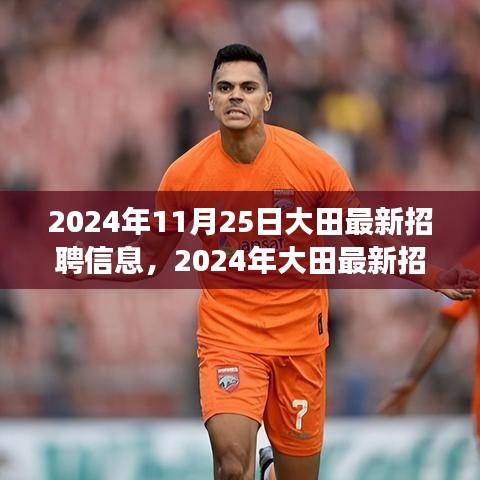 2024年大田最新招聘信息解析，职场机遇与挑战的深度探讨