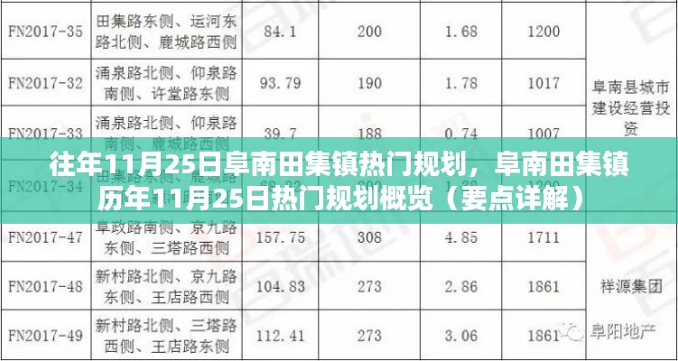 阜南田集镇历年11月25日热门规划详解与概览