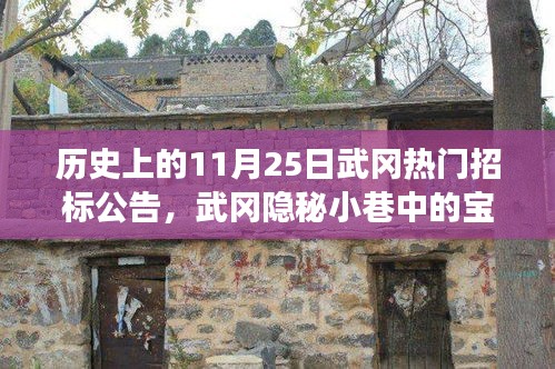 揭秘武冈历史招标故事与独特风味小店，11月25日热门招标公告回顾