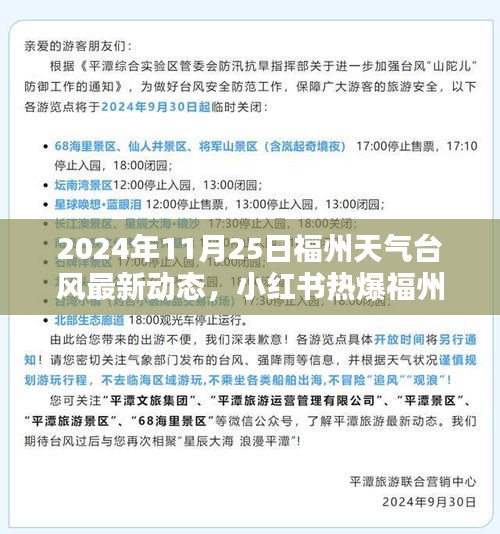 2024年11月25日福州台风最新动态揭秘，天气预警与小红书热爆信息汇总