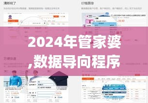 2024年管家婆,数据导向程序解析_界面版WVS5.11