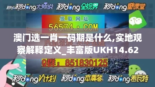 澳门选一肖一码期是什么,实地观察解释定义_丰富版UKH14.62