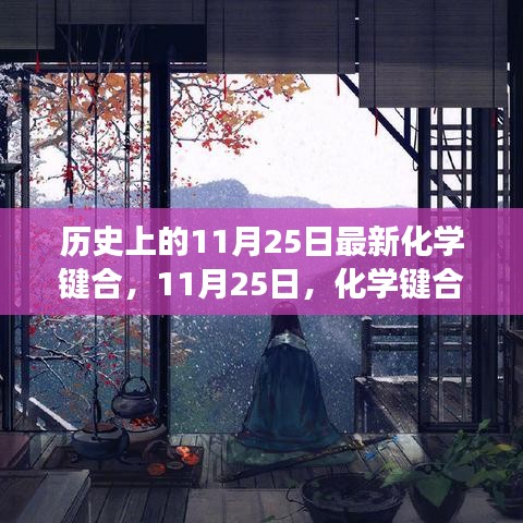 11月25日化学键合中的温情日常，友情与陪伴的感人故事