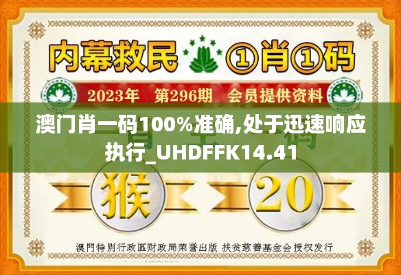 澳门肖一码100%准确,处于迅速响应执行_UHDFFK14.41