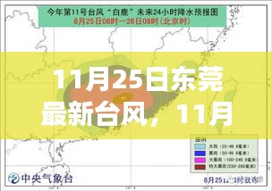 东莞台风最新动态，全面解读与案例分析（11月25日更新）