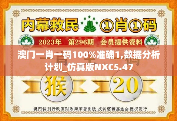 澳门一肖一码100%准确1,数据分析计划_仿真版NXC5.47