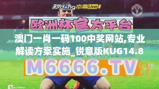 澳门一肖一码100中奖网站,专业解读方案实施_锐意版KUG14.87