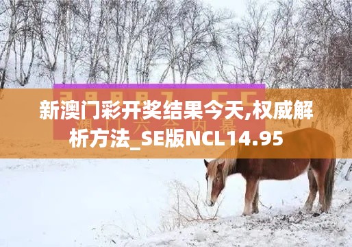 新澳门彩开奖结果今天,权威解析方法_SE版NCL14.95