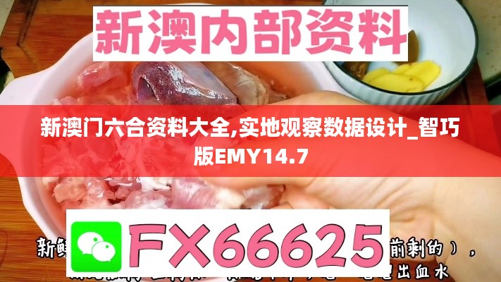 新澳门六合资料大全,实地观察数据设计_智巧版EMY14.7