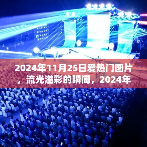 2024年11月25日爱热门图片回顾，流光溢彩的瞬间