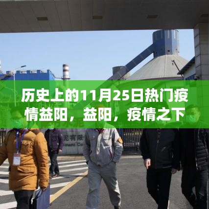 益阳疫情下的自然之旅，寻找内心的宁静与力量——历史上的11月25日热门疫情回顾