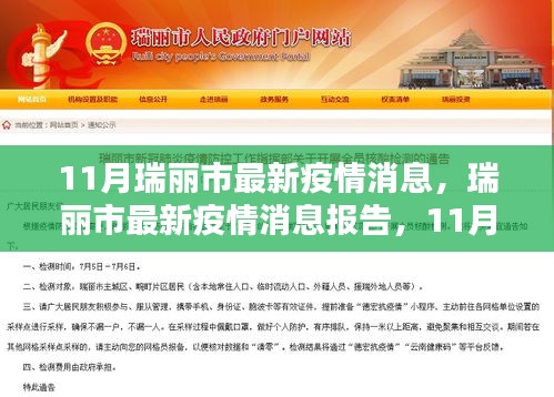 瑞丽市最新疫情报告，11月动态更新与要点解析