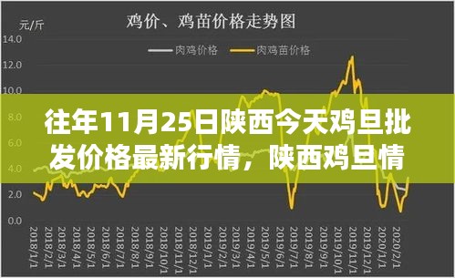 陕西鸡旦情缘，批发价格最新行情与友情陪伴的温馨故事