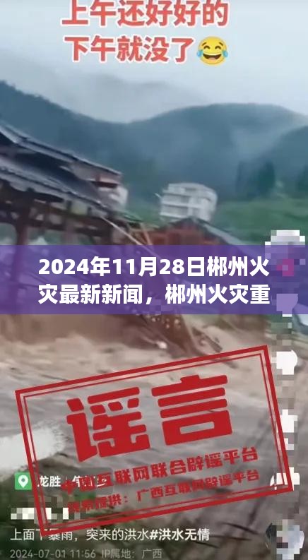 2024年11月28日郴州火灾重大事件，历史瞬间的深远影响与最新进展