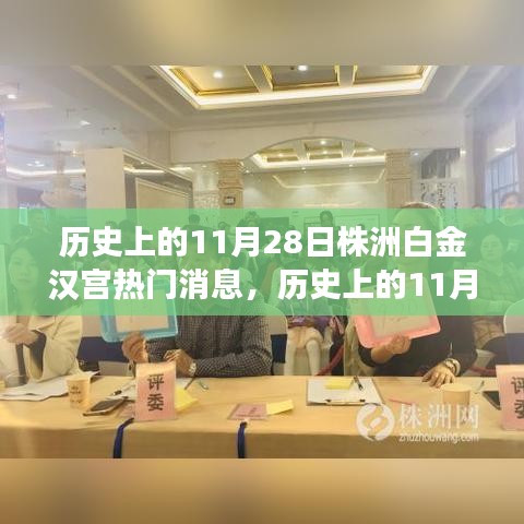 历史上的11月28日株洲白金汉宫，热门事件深度解析与独特观点