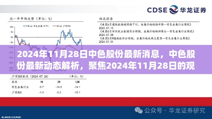 中色股份最新动态解析，聚焦观点碰撞与个人立场