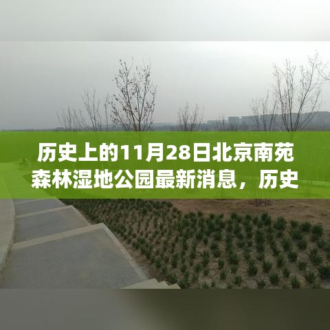 北京南苑森林湿地公园发展动态，历史上的11月28日最新消息揭秘