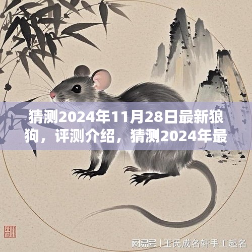 2024年最新款狼狗全新体验报告与评测介绍