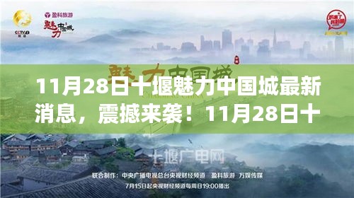 11月28日十堰魅力中国城最新动态揭秘，震撼来袭！