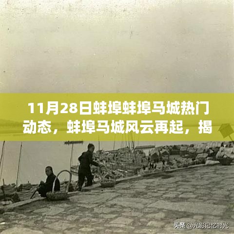 揭秘蚌埠马城风云背后的故事，最新热门动态深度解析（11月28日）