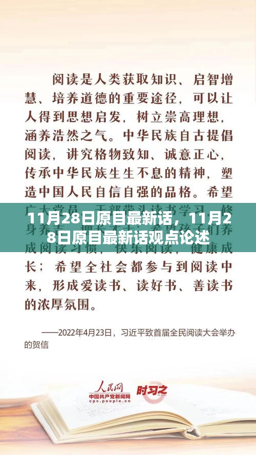 11月28日原目最新话深度解析与观点论述